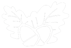 TisaWood